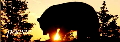 Blog di Cesare Sabbadin Grizzly